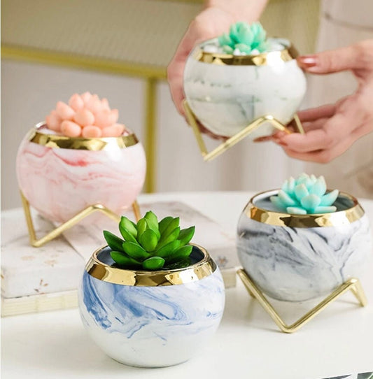 Succulent Pots| Ceramic Plant pots | Indoor Plant Pots| Nordic Style Plant Pots |Cacti Pots | Drainage