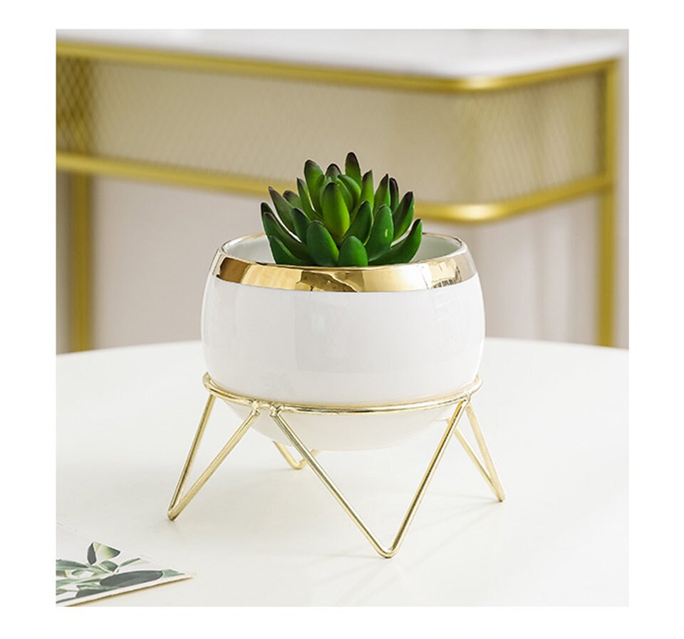 Succulent Pot with Stand| Succulent and Cactus | Indoor Plant Pots | Nordic Ceramic Succulent Pot